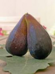 FIGUES-FIGAFLOR