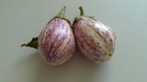 ALBERGÍNIA lila