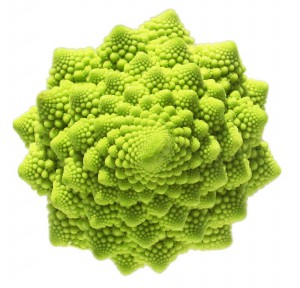 BROQUIL varietat Romanesco